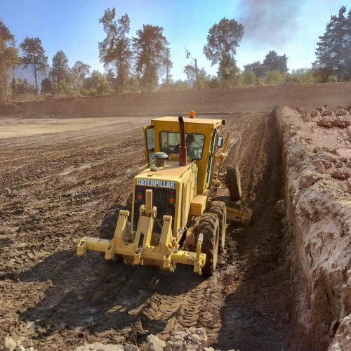 Arauco-Terracería.Pata de Cabra
